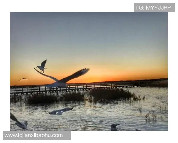 布福德的传奇人生与不朽精神探寻之旅 布福德的传奇人生与不朽精神探寻之旅