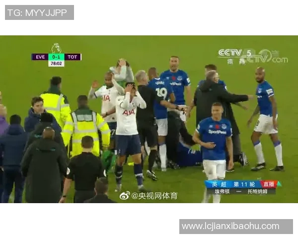 埃弗顿对阵热刺精彩回放全程回顾与比赛分析