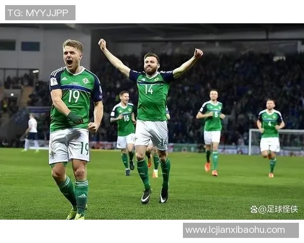 爱尔兰与丹麦足球对决前瞻分析双方实力与战术深度解析