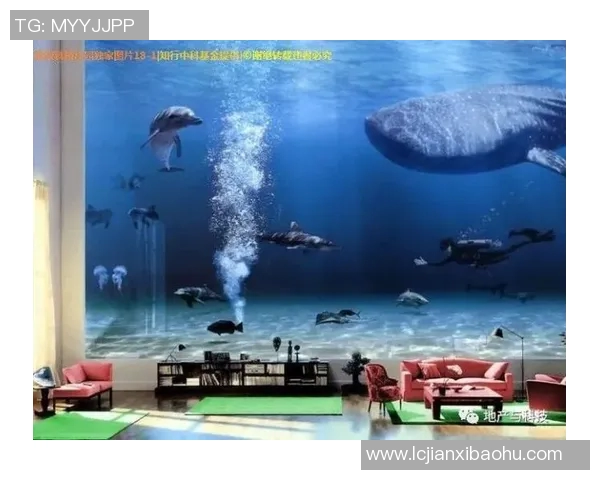 发电机与鲨鱼的较量探秘科技与自然的力量对决 发电机与鲨鱼的较量探秘科技与自然的力量对决