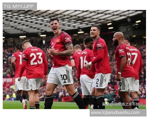 曼联豪掷重金签下汉达诺维奇，创造英超历史新纪录